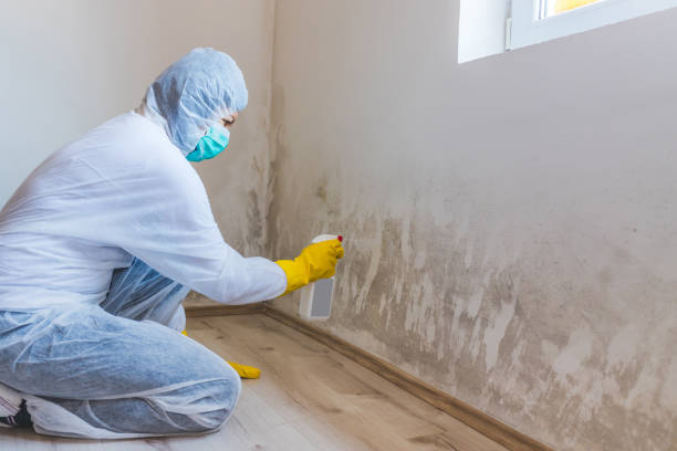 Crawl Space Mold Remediation treatment of floor joists in Devon